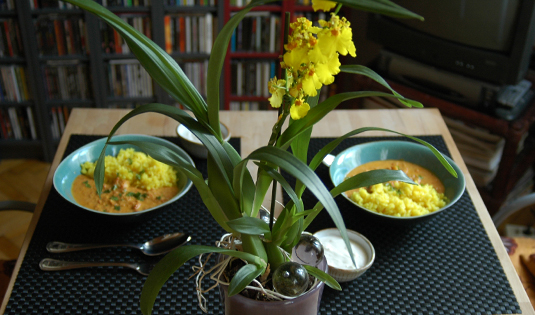 Garnelen in dunkler Sauce