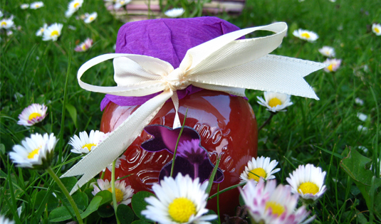 Erdbeermarmelade Erdbeermarmelade