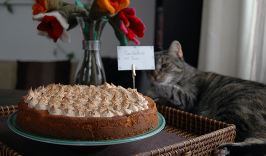 Marillentorte mit Schneehaube