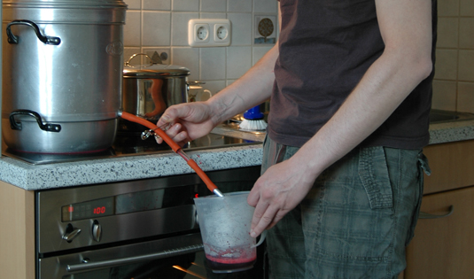 Markus kocht Ribiselsirup