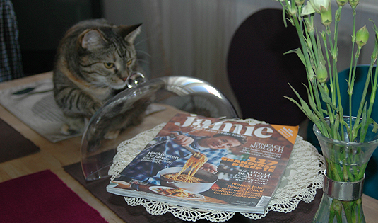 Bequemes Rindercurry Bequemes Rindercurry